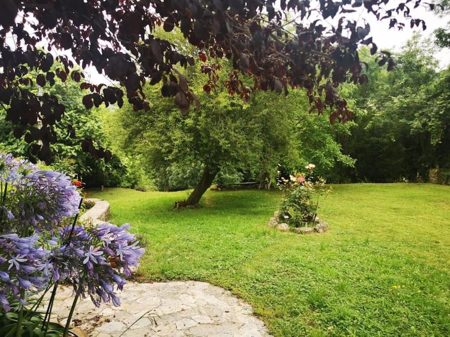 La Flor De Toranzo "Vive Los Valles Pasiegos" Prases Bagian luar foto